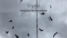  Presentation with soaring - Amazing theme having pigeons-bird-soaring backdrop and a light blue colored foreground