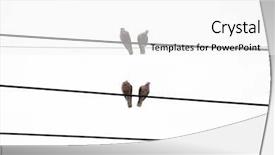  Presentation with power - Beautiful PPT theme featuring pigeons standing on power line backdrop and a white colored foreground