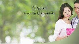  Presentation with green banking - Cool new PPT theme with piggy bank against green backdrop and a seafoam green colored foreground