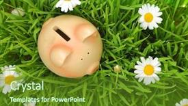  Presentation with piggy bank - Beautiful PPT theme featuring piggy bank on green grass backdrop and a tawny brown colored foreground