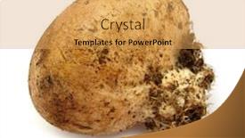  Presentation with poison - PPT theme enhanced with scleroderma - pigskin poison puffball common earthball background and a yellow colored foreground