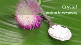  Presentation with green leaf - PPT layouts consisting of pil - homeopathic tablets and flower background and a  colored foreground