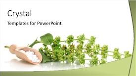  Presentation with homeopathic - Presentation theme with pil - homeopathic tablets and flowers isolated background and a  colored foreground