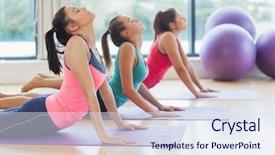  Presentation with trainer - Slide set enhanced with diptera - portrait tachina fly with orange background and a gray colored foreground.