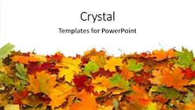  Presentation with maple leaf - Slide deck having pile of autumn colored leaves background and a white colored foreground