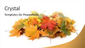  Presentation with fall colors - Amazing presentation design having pile of autumn colored leaves backdrop and a white colored foreground
