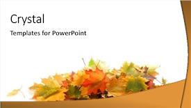  Presentation with fall colors - Slide set with pile of autumn colored leaves background and a white colored foreground