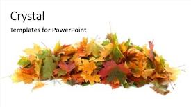  Presentation with maple leaf - Beautiful PPT layouts featuring pile of autumn colored leaves backdrop and a white colored foreground