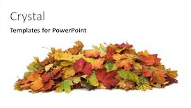  Presentation with fall colors - Amazing slides having pile-of-autumn-colored-leaves backdrop and a white colored foreground