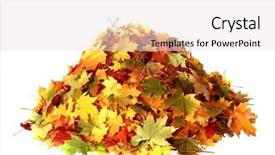  Presentation with maple leaf - Amazing PPT theme having pile of autumn colored leaves backdrop and a sky blue colored foreground