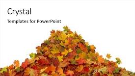  Presentation with fall leaves border autumn - Theme having pile of autumn maple colored background and a white colored foreground