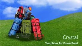  Presentation with water conservation protect nature concept - PPT theme with portrait of a beautiful tiger relaxing with his head on a paw background and a gray colored foreground