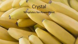  Presentation with pile of fresh cassava - Audience pleasing theme consisting of pile of beautiful fresh bananas backdrop and a  colored foreground