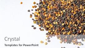  Presentation with pollen - PPT layouts having pile-of-bee-pollen background and a pink colored foreground