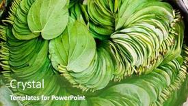  Presentation with nut - Presentation theme featuring pile-of-betel-nut-leaves background and a tawny brown colored foreground