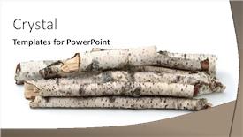  Presentation with pile - Presentation design having pile-of-birch-twigs-isolated background and a white colored foreground