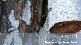  Presentation with birch bark - PPT theme having pile-of-birch-wood-close background and a gray colored foreground