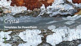  Presentation with birch bark - Slides enhanced with pile-of-birch-wood-close background and a gray colored foreground