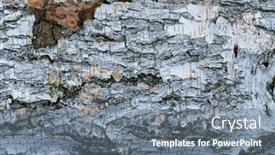  Presentation with birch bark - Slide set featuring pile-of-birch-wood-close background and a gray colored foreground