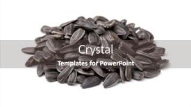  Presentation with black seed - Colorful slides enhanced with pile-of-black-sunflower-seed backdrop and a dark gray colored foreground
