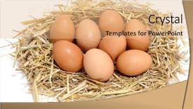  Presentation with egg - Cool new theme with pile of brown eggs backdrop and a coral colored foreground
