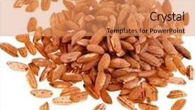  Presentation with brown rice - Presentation featuring pile of brown rice isolated on white background background and a coral colored foreground