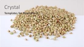  Presentation with pile - Theme featuring pile-of-buckwheat-on-white background and a coral colored foreground