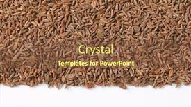  Presentation with seeds - Audience pleasing PPT theme consisting of pile-of-caraway-seeds-close backdrop and a tawny brown colored foreground