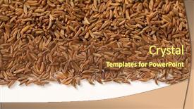  Presentation with seeds - Amazing slide deck having pile-of-caraway-seeds-detail backdrop and a tawny brown colored foreground