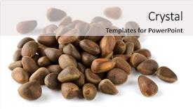  Presentation with cedar - Colorful PPT theme enhanced with pile of cedar nuts isolated on white backdrop and a light gray colored foreground