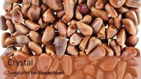  Presentation with cedar - PPT theme with pile of cedar nuts texture background background and a red colored foreground