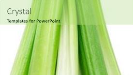  Presentation with celery - Presentation theme having pile-of-celery-ribs-isolated background and a mint green colored foreground