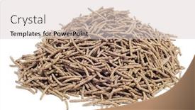  Presentation with cereal - Theme with cilia - close up on the blue background and a coral colored foreground