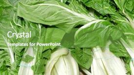  Presentation with swiss chard - Presentation design having pile of chards ready background and a seafoam green colored foreground