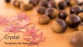  Presentation with green maple leaves - PPT layouts consisting of pile of chestnuts and maple background and a  colored foreground
