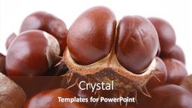  Presentation with pile - Presentation design enhanced with pile-of-chestnuts-isolated background and a tawny brown colored foreground