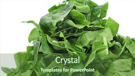  Presentation with pile - Presentation design featuring pile of chopped raw chard background and a tawny brown colored foreground