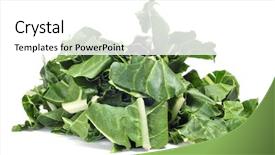  Presentation with swiss chard - Presentation theme featuring pile of chopped raw chards background and a white colored foreground
