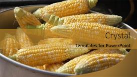  Presentation with corn cob - 