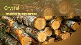  Presentation with cut - Theme with pile-of-cut-birch-trees background and a  colored foreground