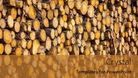  Presentation with pine forest - Slide deck with pile-of-cut-pine-trees background and a gold colored foreground