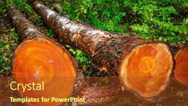  Presentation with pile of pine pellets - Presentation theme featuring pile-of-cut-pine-trees background and a  colored foreground