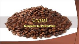 Presentation with bar pieces dark chocolate - Colorful PPT layouts enhanced with pile-of-dark-malted-barley backdrop and a tawny brown colored foreground