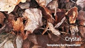  Presentation with dry - Cool new PPT layouts with pile-of-different-dry-leaves backdrop and a tawny brown colored foreground