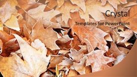  Presentation with dry - PPT layouts enhanced with pile-of-different-dry-leaves background and a coral colored foreground