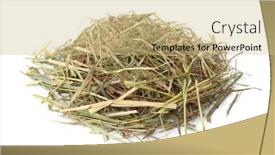  Presentation with pile - Slide set with pile-of-dried-hay-isolated background and a coral colored foreground