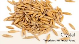  Presentation with oat - Presentation design consisting of pile of dried oat grains isolated on white background and a lemonade colored foreground