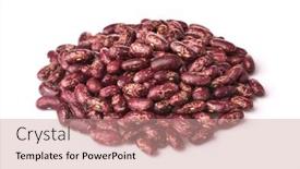  Presentation with kidney - PPT theme enhanced with pile-of-dried-red-speckled background and a coral colored foreground