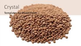  Presentation with lentils - Cool new theme with pile-of-dry-brown-lentils backdrop and a coral colored foreground