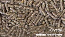  Presentation with hamsters - Slide set with pile-of-dry-grass-pellets background and a tawny brown colored foreground